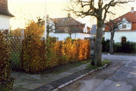 Hjørnet af Frihedsvej 2 set mod Folkets Allé, nov. 1996 - Foto: Kurt Smith